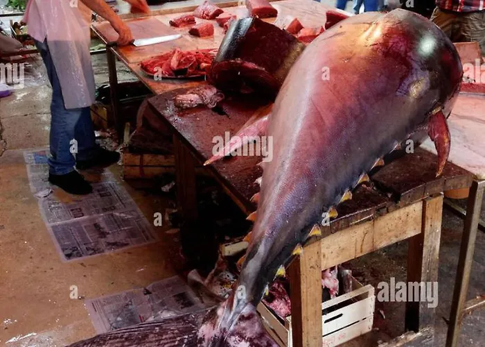 Apartamento Discovering Sicily